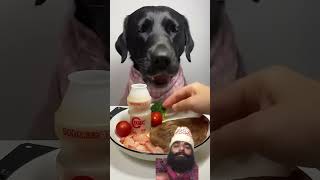 #dog #mukbang #eating #eatingshow #eatingsounds #labrador #food