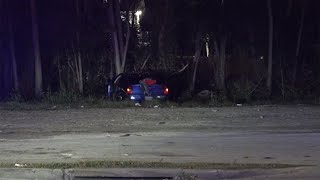 HPD: Woman dead after driving wrong way near Houston's South Side, hitting tree