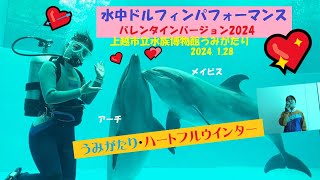 【高画質】水中ドルフィンパフォーマンスバレンタインver.2024・上越市水族館うみがたり（2024.1.28）