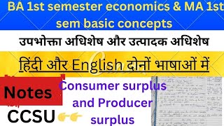 Producer surplus and consumer surplus/उपभोक्ता अधिशेष और उत्पादक अधिशेष/ CCSU economic Hindi \u0026 eng .