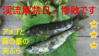 渓流解禁日から4日目にして2匹釣れました。