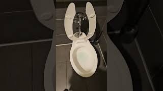 clean toilet #restroom #clean #office