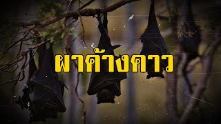 ป่าดิบดงทึบและพรานอำลาไพร บทที่ 16 ผาค้างคาว | สองยาม