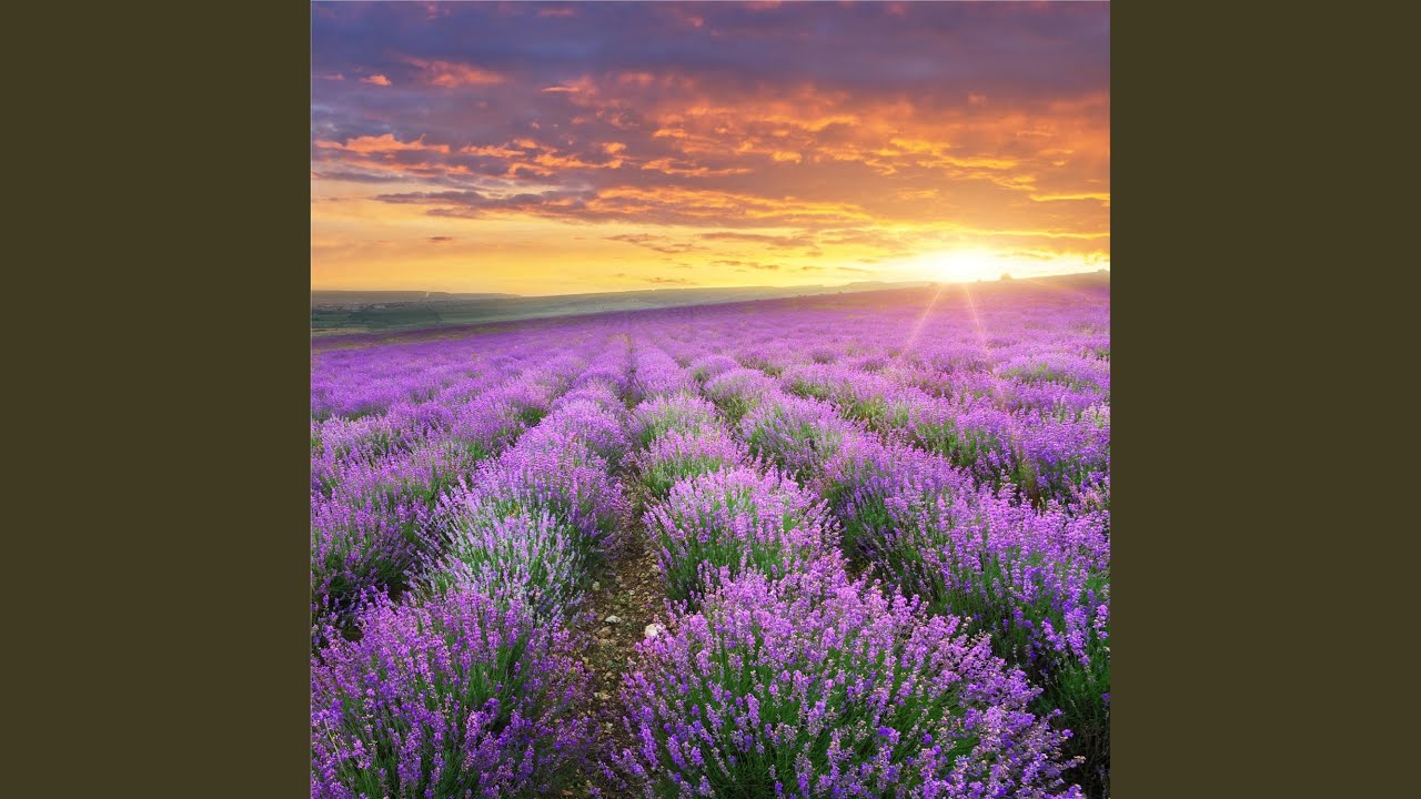 Good Morning Music 528hz Piano Music Youtube Music