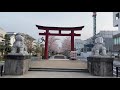 武家の都 鎌倉の桜 お花見巡り 本覚寺〜妙本寺〜段葛〜鶴岡八幡宮〜建長寺〜円覚寺〜鎌倉大仏 高徳院〜長谷寺〜はま善〜甘縄神明宮〜鎌倉文学館 cherry blossom in kamakura