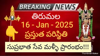 tirumala 16 january 2025 present situation sarva darshan | suprabhatha seva started again ttd news