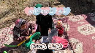 第550集，上集，米娜与阿扎达的相遇：面对挑战她如何坚定前行