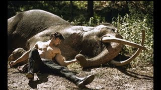 Vidyut Jammwal Talks About World Elephant Day