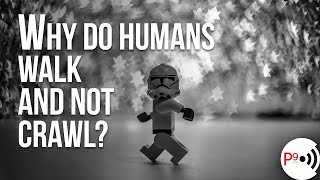 Why Do Humans Walk and Not Crawl?