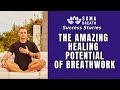 From Cancer Survivor to SOMA Breath Master - Piotr's Inspiring Holistic Journey