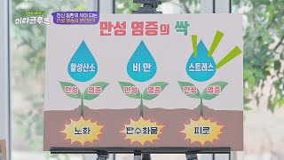 전신 질환의 싹, 만성 염증! 만성 염증의 원인 세 가지👌 맛있는 이야기 미라클 푸드(Miracle Food) 89회 | JTBC 201212 방송