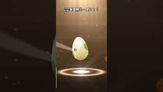 2公里蛋孵化，是？？？｜#pokémon #pokemongo #精靈寶可夢