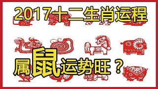 【2017雞年運程】十二生肖，屬鼠！事業，財運，健康，感情運！你今年的運勢會如何？新的一年如何招財！必看！張瀚、賈乃亮、古巨基原來也是這個生肖