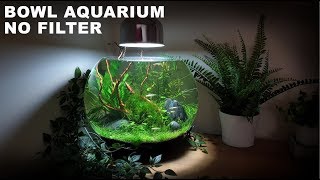 How To Make A No Filter 3 Gallon Fish Bowl Aquarium  (No Filter No Ferts No Co2 No Heater Aquascape)