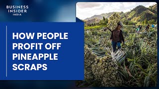 How People Profit Off Pineapple Scraps