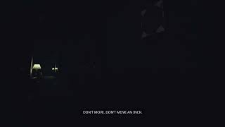 DONT MOVE DONT MOVE AN INCH