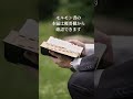 モルモン書はこちらから確認できます　https www.churchofjesuschrist.org study scriptures bofm lang=jpn モルモン書 預言者