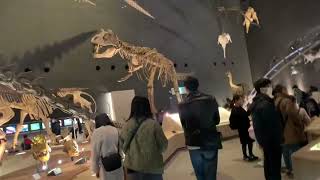 @Kanagawa Prefectural Museum of Natural History 神奈川県立生命の星・地球博物館