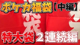 【ポケモン福袋】６種類 １２万円分のポケカ福袋をただただ開封する動画 -中編-【ポケモンカード】