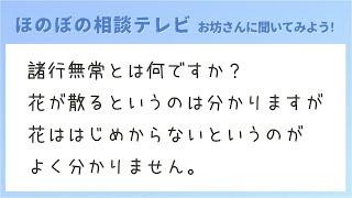 諸行無常とは何ですか？花が散るというのは分かりますが、花ははじめからないというのがよく分かりません。