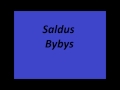 saldus bybys