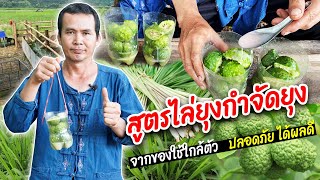 วิธีไล่ยุงกำจัดยุง ด้วยวิธีธรรมชาติรับรองปลอดภัยได้ผลดี