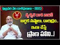 February 2023 Vrischika Rashi Phalalu By Astrologer Nanaji Patnaik Garu | 2023 Horoscope Telugu #TEW