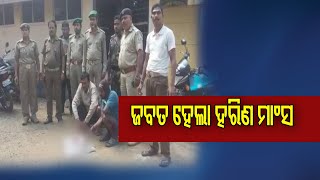 ଜବତ ହେଲା ହରିଣ ମାଂସ | Odisha Reporter