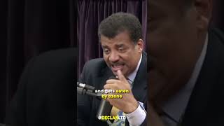 Neil deGrasse Tyson on Elon Musk's Mars Idea