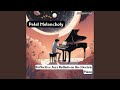 Serenade of the Stars: Piano Melodies in Solitude