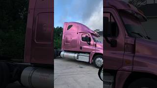 Freightliner with pink wrap #peterbilt #semitruck #kenworth #trucking #diesel #volvotrucks