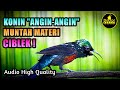 MASTERAN KONIN GACOR FULL ISIAN BREN CIBLEK COCOK UNTUK PANCINGAN TEMBAKAN KOLIBRI NINJA BAHAN