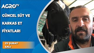 Güncel Süt ve Karkas Fiyatları - Agro TV Haber