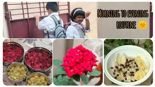 #vlog🌞 /💁Indian house wife mrng to evng routine/beetroot fry/🍲బీరకాయ ఎండు రొయ్యల కూర 😋/