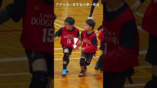 スーパー1年生？オフィシャルの練習試合で一年生当ててキャッチ！#ドッジボール #小学一年生