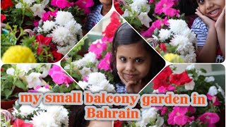 Balcony Garden/ Bahrain ലെ ഞങ്ങളുടെ ബാൽക്കണി ഗാർഡൻ / Balcony Garden Malayalam/ Lia's World