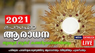 പൊതുആരാധന II തൃശൂർ ലൂർദ് പള്ളിയിൽനിന്നും II റവ. ഡോ. പോൾ പുളിക്കൻ