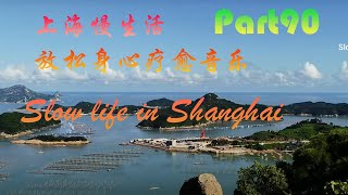 上海慢生活，放松身心疗愈音乐，Part90,Slow life in Shanghai,wonderful relaxing music,sleep music，beautiful flowers