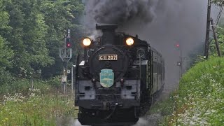 【SL函館大沼号】 C11 207 ラストシーズン！ 函館本線 動画集 / JR北海道