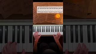 Yann Tiersen - Amelie (Reimagined) 🎹 Comptine d'un autre été ✨ Piano Cover #pianissimopro