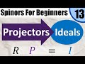 Spinors for Beginners 13: Ideals and Projectors (Idempotents)