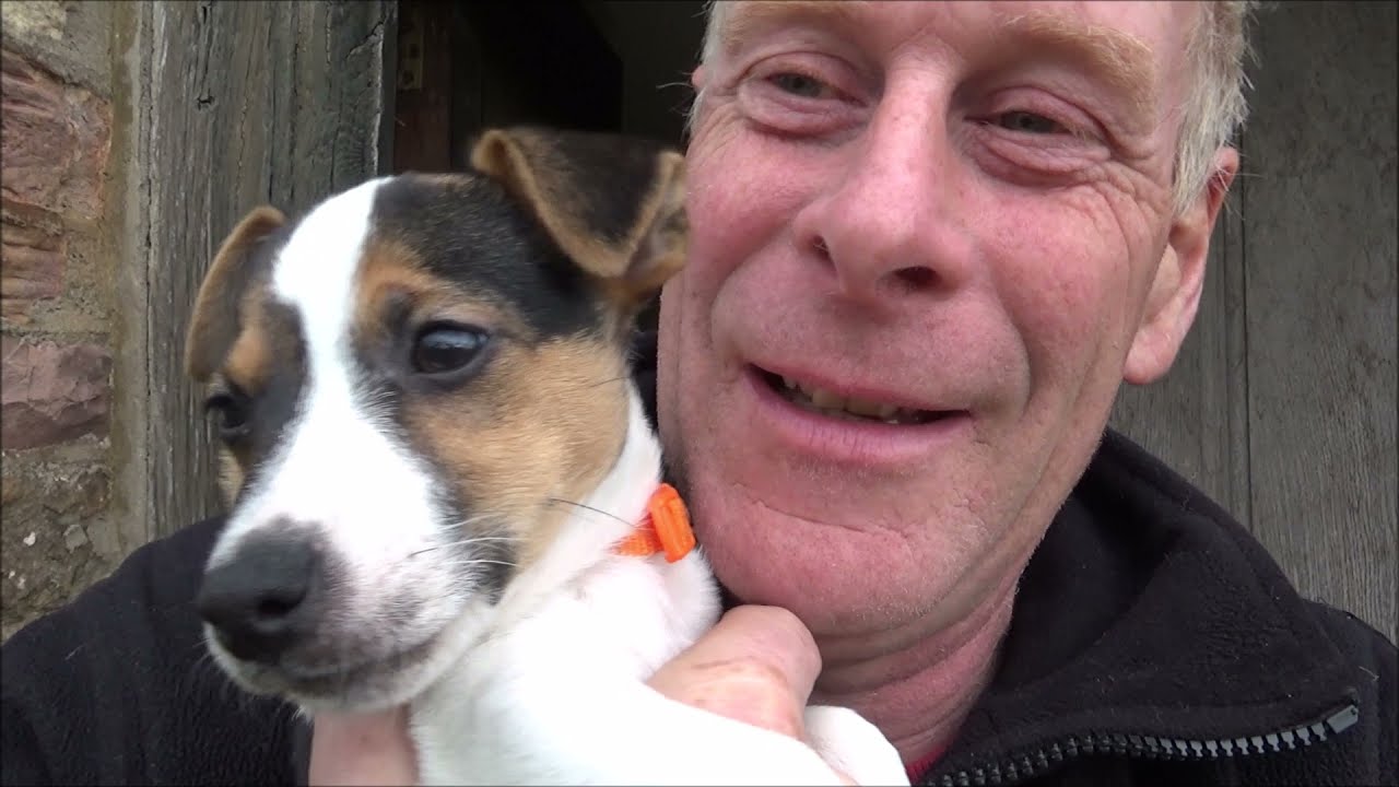 Omg We Ve Got A Dog Youtube