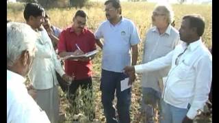 Telangana Medhavula Sangam Ganta Chakrapani Visit Cotton fields