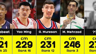 The Tallest Basketball Players in History
