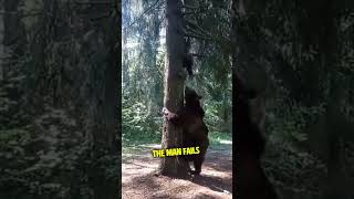 This Bear Climbs a Tree Chasing a Man!