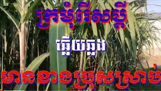 ក្រមុំរេីសប្តី#ឆ្លេីយឆ្លង មានខាងប្រុសស្រាប់#karaoke.kh.cover