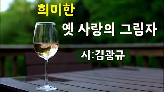 [시낭송]희미한 옛사랑의 그림자#김광규#(낭송:봉경미/음악:손방원팬플룻)