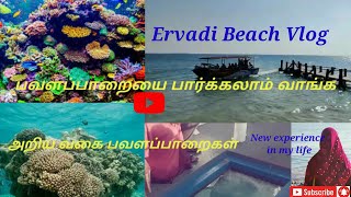 Boating Experience ||Ervadi beach vlog||அறிய வகை பவளப் பாறைகள் கண்காட்சி||ஏர்வாடி கடற்கரை மணல்திட்டு