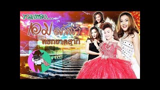 ครกขาดสาก - เพชร สหรัตน์ Feat.เอม อภัสรา