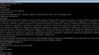Linux - env Command - w3resource
